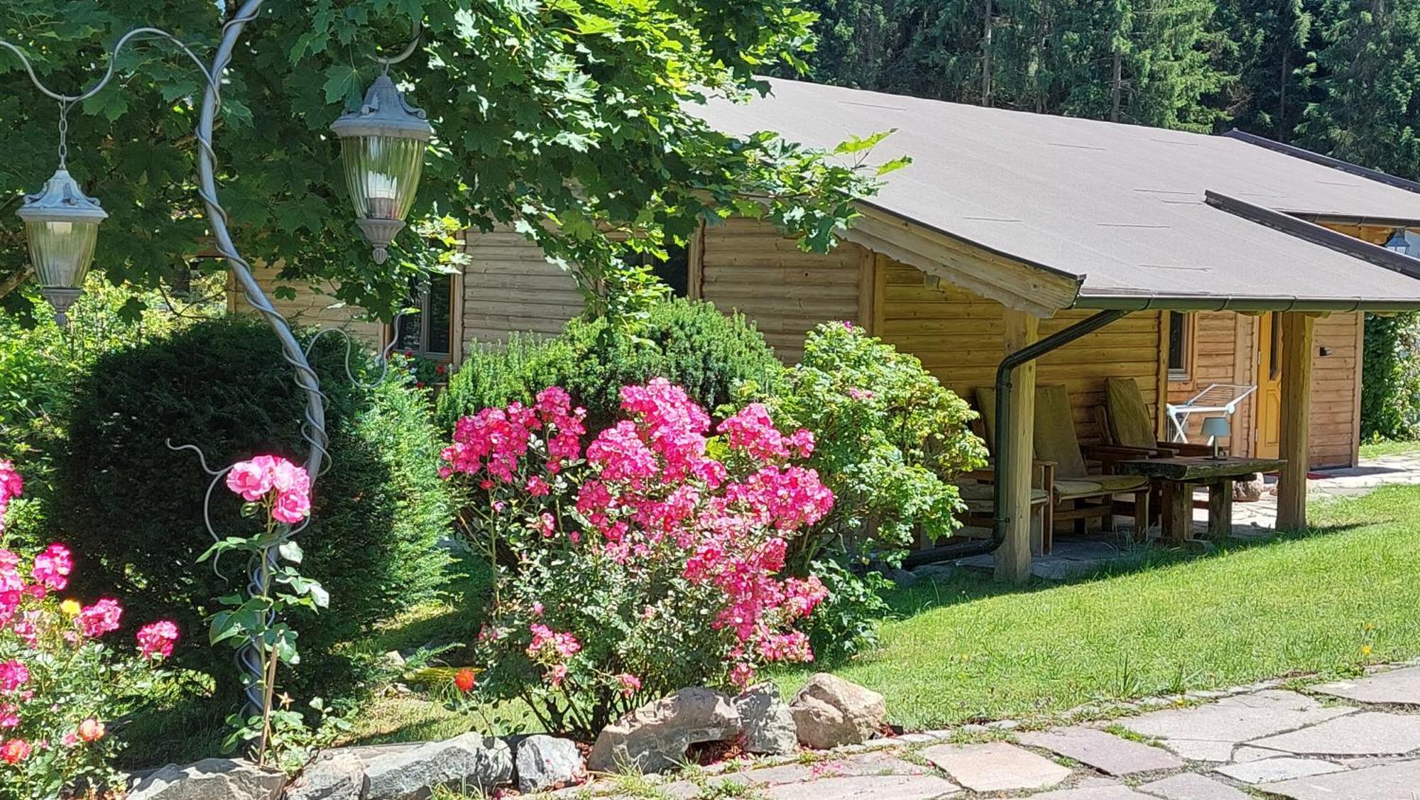 Gartenhotel Rosenhof bei Kitzbühel Oberndorf in Tirol Exterior foto